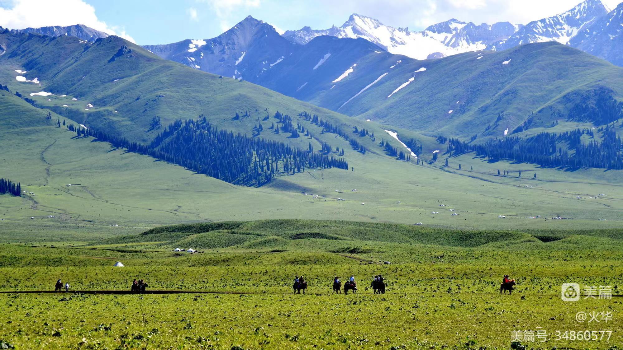 kaiyun体育官方人口信息化活动服务经验分享